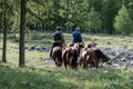 Mongolian horseman heading home