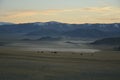 Mongolian horses and yaks in Mongolian steppe Royalty Free Stock Photo