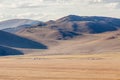 The mongolian kazakhs of western mongolia migrate each year with their herd of camels. horses, sheep, cows and goats in the snowy