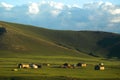 Mongolian landscape with horses and yurts Royalty Free Stock Photo