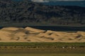 Mongolian landscape with horses and yurts Royalty Free Stock Photo