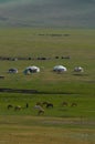 Mongolian landscape with horses and yurts Royalty Free Stock Photo