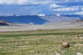 Mongolian landscape with mountain steppe