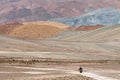 Wild Mongolian road