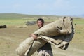 Mongolian man carries felt circa Harhorin, Mongolia. Royalty Free Stock Photo
