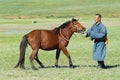Mongolian man tames young wild horse in a steppe circa Kharkhorin, Mongolia.
