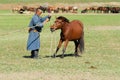 Mongolian man wearing traditional costume tames young wild horse in a steppe circa Kharkhorin, Mongolia.