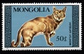 Mongolian postage stamp dedicated to thoroughbred cat. Feline