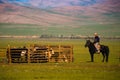 Mongolian shepherds with horse and Yaks