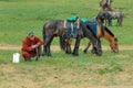 Mongolian shepherds with horses Royalty Free Stock Photo