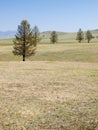 Mongolian steppe