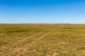 Mongolian steppe, road in the field