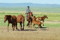 Mongolian teenager wearing traditional costume catches baby wild horse in steppe in Kharkhorin, Mongolia.
