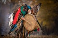 Mongolian shaman performing a ritual