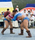 Mongolian wrestlers