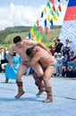 Mongolian wrestlers