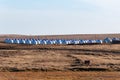 Mongolian Yurt in Xilamuren Grassland Royalty Free Stock Photo