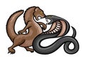 Angry mongoose and cobra. Royalty Free Stock Photo