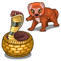 Mongoose and cobra. Vector animal isolated Royalty Free Stock Photo