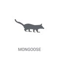Mongoose icon. Trendy Mongoose logo concept on white background