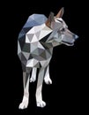 Mongrel, a wolf, a dog in a polygon style. Fashion illustration
