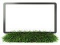 Monitor on grass with