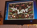 Monitor - light game - in love Royalty Free Stock Photo