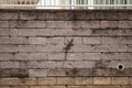 Monitor lizard is walking on a wall in asian city Royalty Free Stock Photo