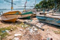 Monitor lizards lie in a pile of garbage