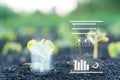 Monitoring the growth of plants. Innovation and modern technology Royalty Free Stock Photo