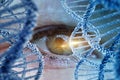Monitoring of human DNA. Royalty Free Stock Photo