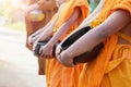 the monk alms round in Royalty Free Stock Photo