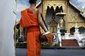 Monk coming back in temple