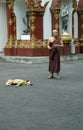 Monk and dog at Wat Saen Muang Ma Luang, Chiang Mai, Thailand Royalty Free Stock Photo