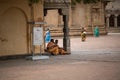 Monk in Indian temple