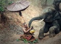 Monk in the jungle with elephant