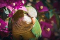 Monk parakeet among flowers Royalty Free Stock Photo