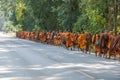 Monk on pilgrimage, Thailand Royalty Free Stock Photo