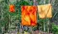 Orange and yellow monk robes on a clothesline