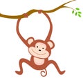 Monkey Royalty Free Stock Photo