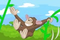 Monkey Royalty Free Stock Photo