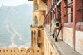 Monkey in the Amber Fort in Jaipur, India. Hanuman Langur or Gray Langur - sacred animal in India