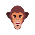 Monkey angry Emoji. marmoset aggressive emotion isolated. Chimpanzee face