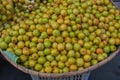 Monkey apple,Thailand fruit. Royalty Free Stock Photo