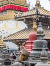 Monkey on the architecture element of buddhist temple