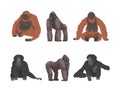 Monkey as Arboreal Primate and Simian Mammal Vector Set