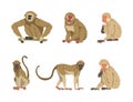 Monkey as Arboreal Primate and Simian Mammal Vector Set