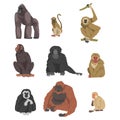 Monkey as Arboreal Primate and Simian Mammal Vector Set