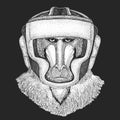 Athletic animal Boxing champion. Monkey, baboon, dog-ape, ape Print for t-shirt, emblem, logo. Martial arts. Vector