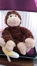 Monkey with Banane Royalty Free Stock Photo